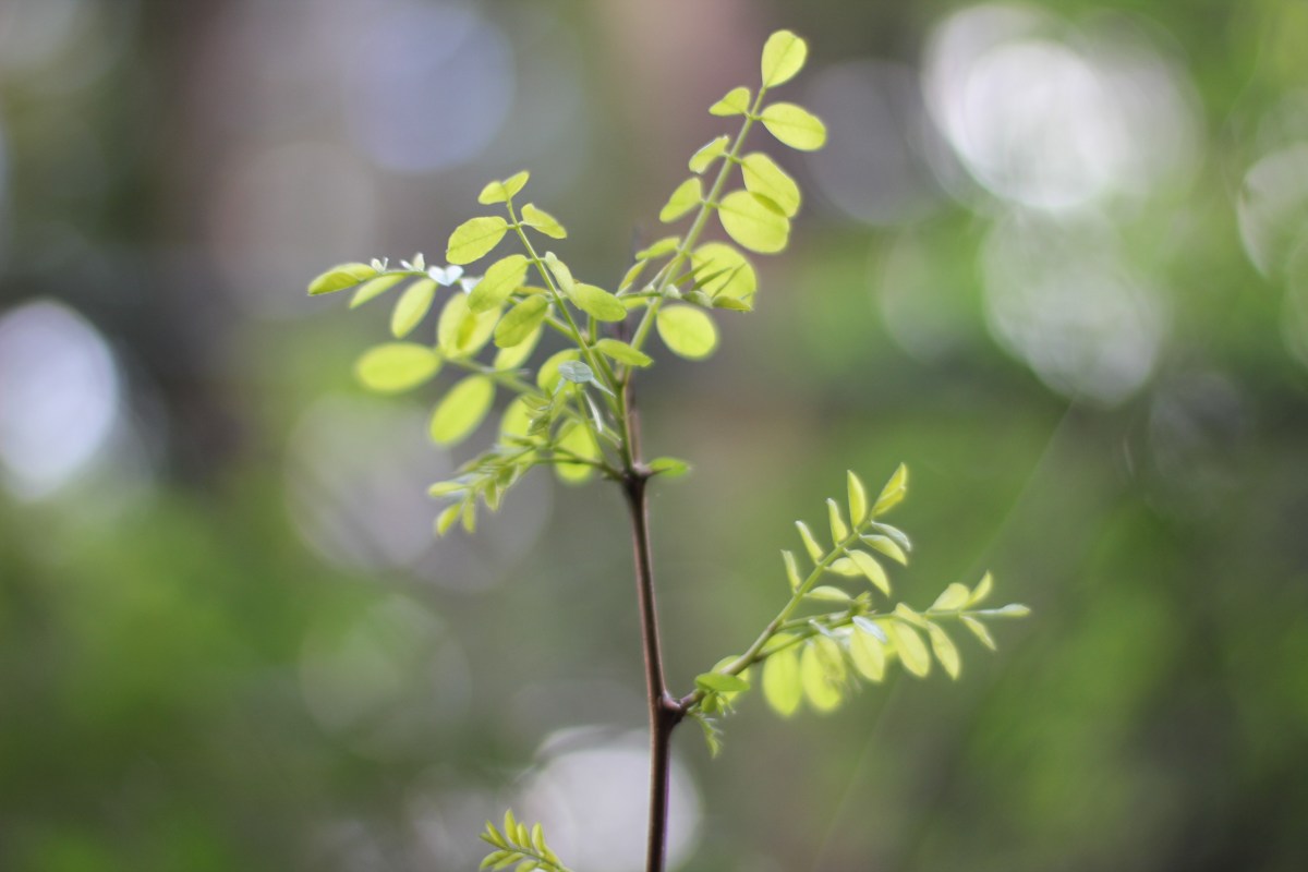 Abortion Doesn’t Have to Divide&nbsp;Us