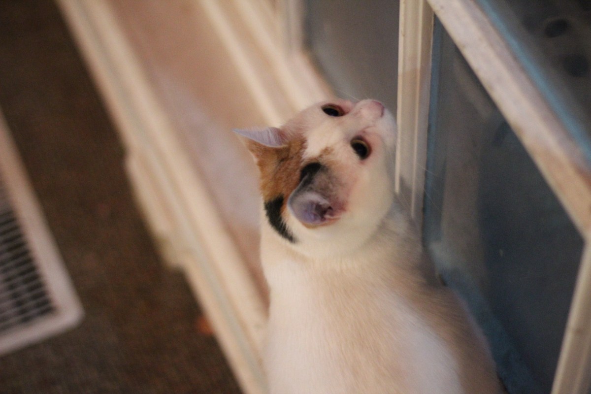 When Does Someone Deserve&nbsp;Homelessness?