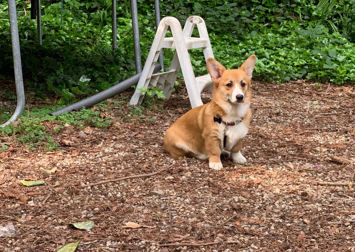 I’m Thankful For All Of&nbsp;You