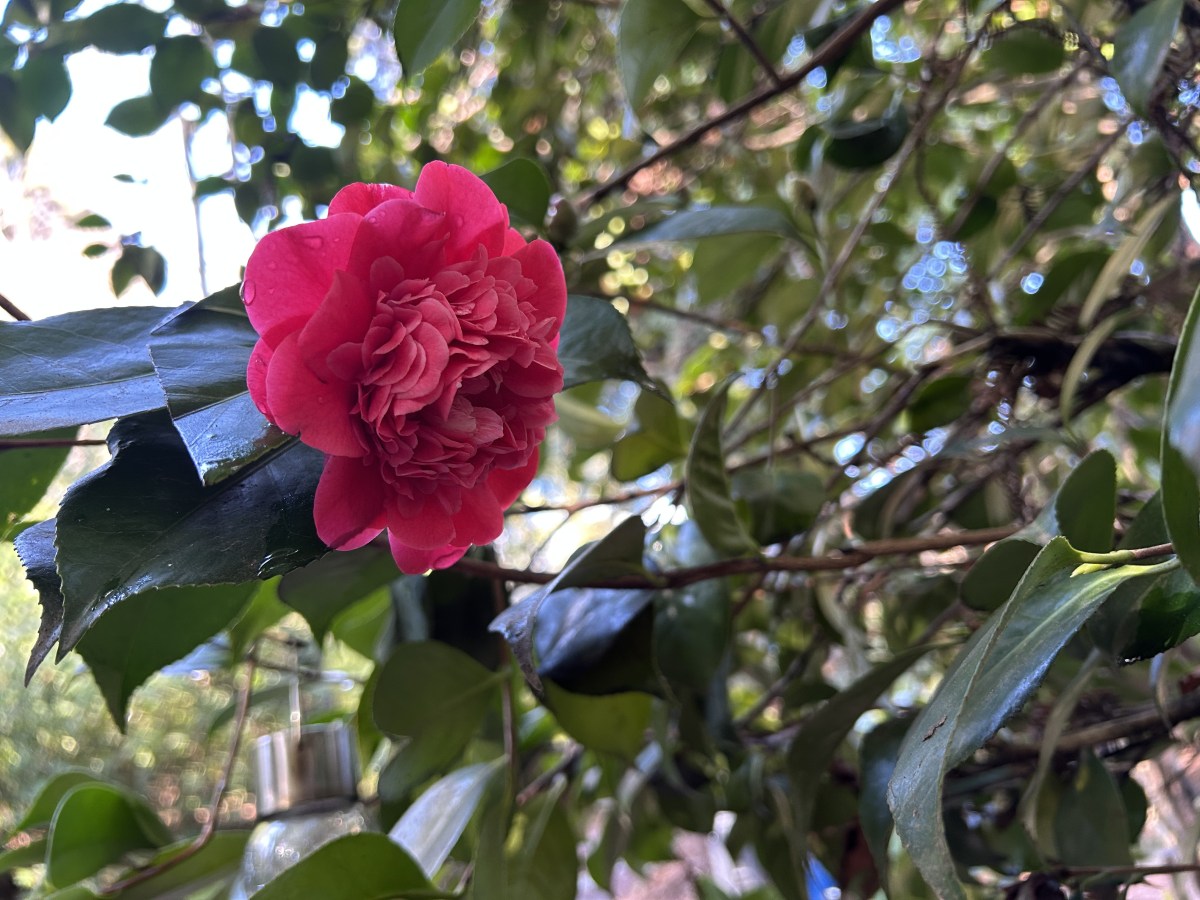 They Can’t Stop Us From Helping Each&nbsp;Other